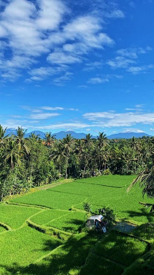 Nirwa Ubud Karma Eksteriør bilde