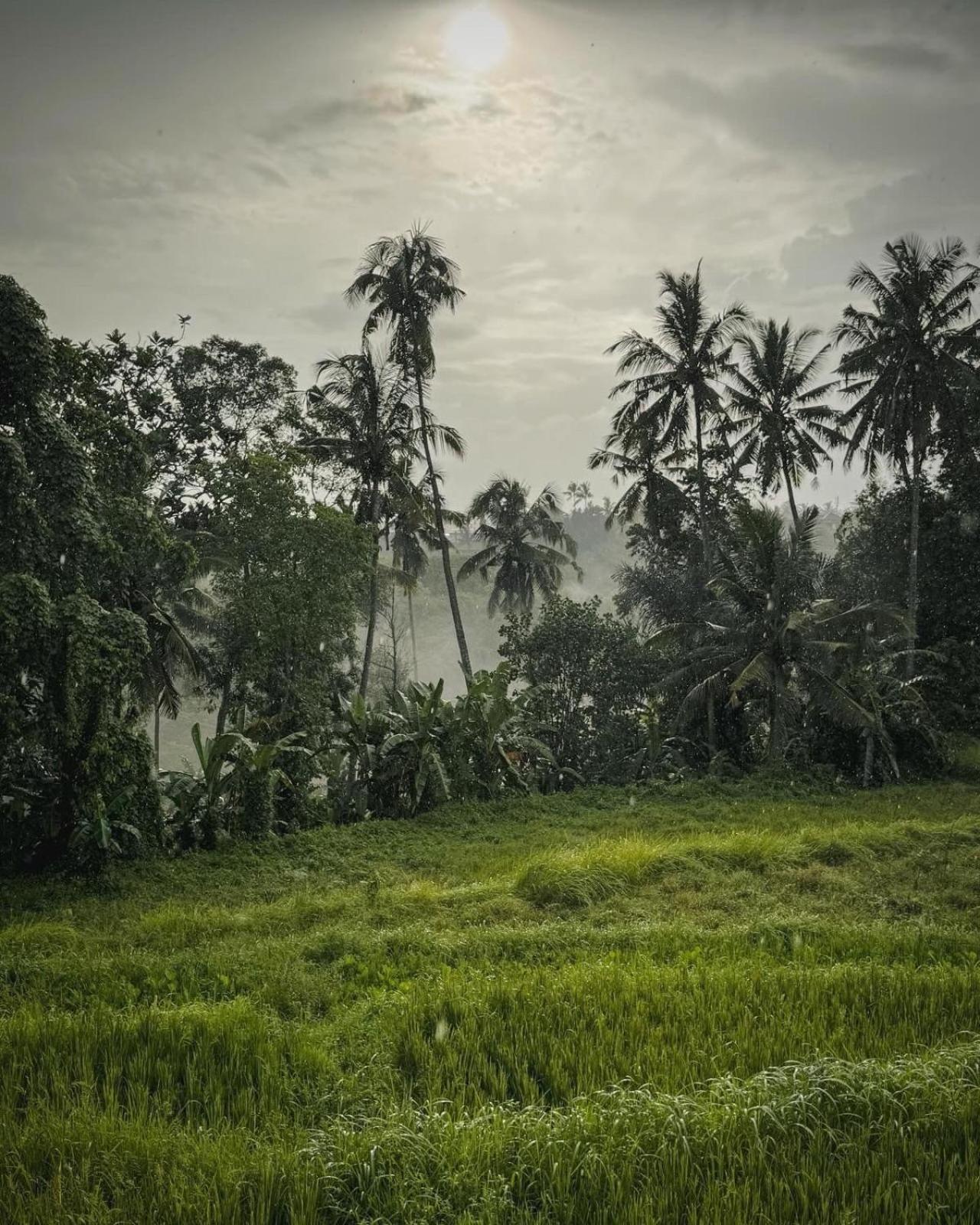 Nirwa Ubud Karma Eksteriør bilde