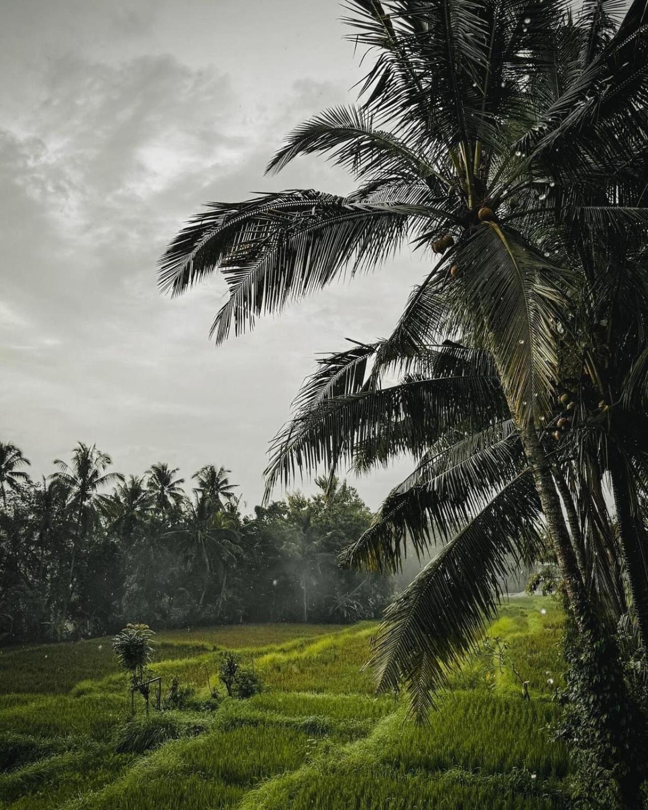 Nirwa Ubud Karma Eksteriør bilde