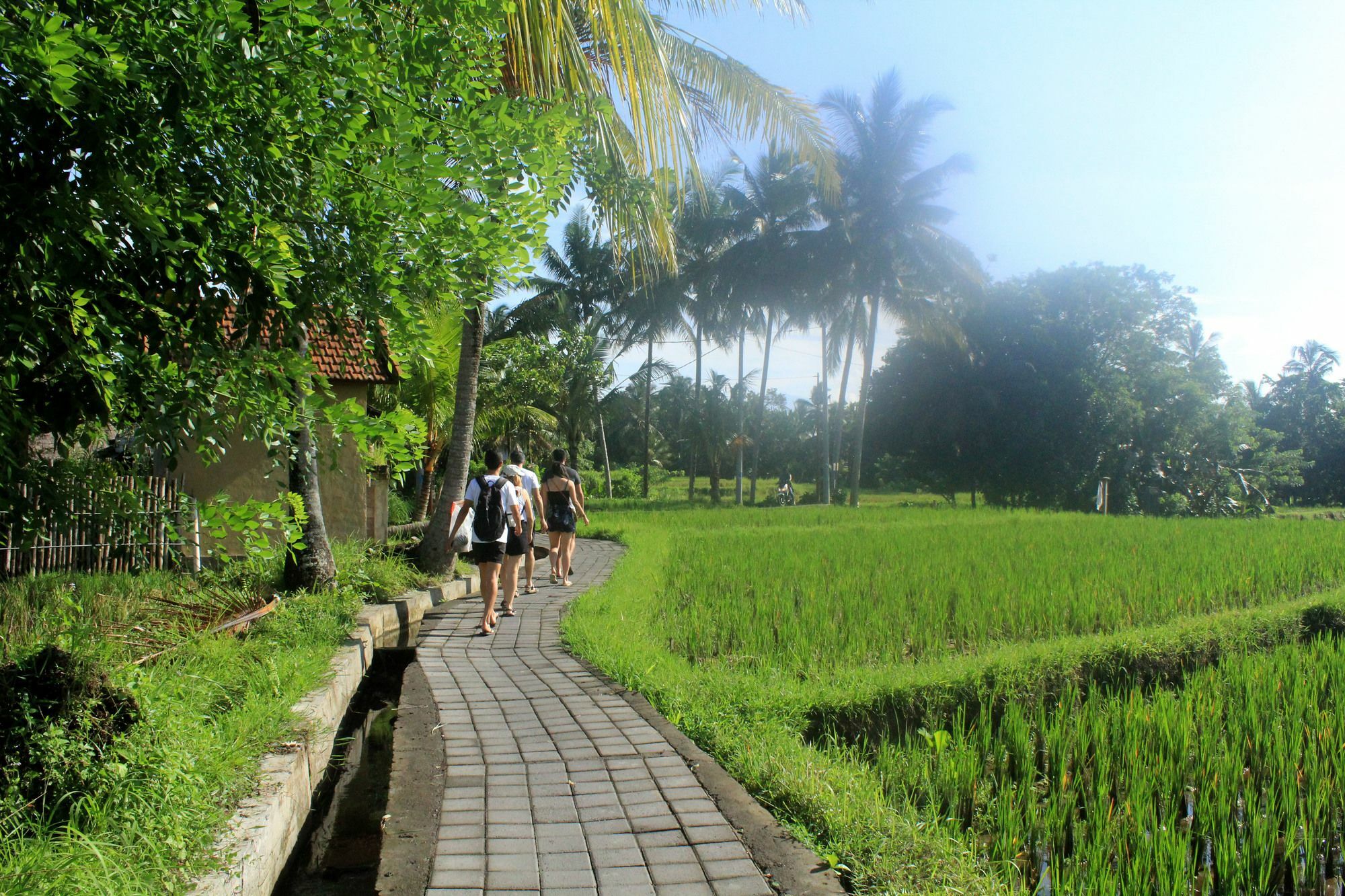 Nirwa Ubud Karma Eksteriør bilde